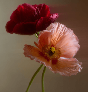 уменьшение входа во влагалище при его чрезмерном расширении