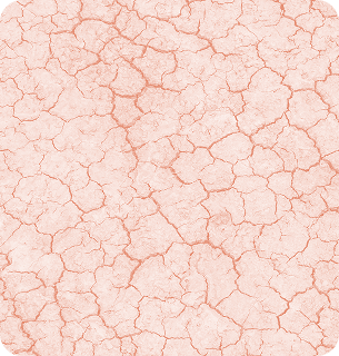 трещинах анального канала