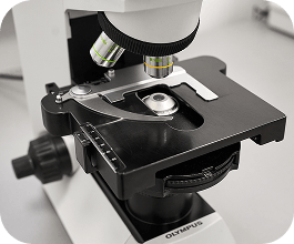 Постоянное повышение квалификации: наши специалисты проходят обучение в ведущих клиниках Европы и России